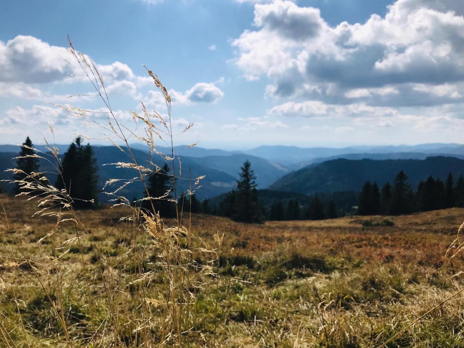Ferienhaus Robin Titisee-Neustadt Exteriör bild