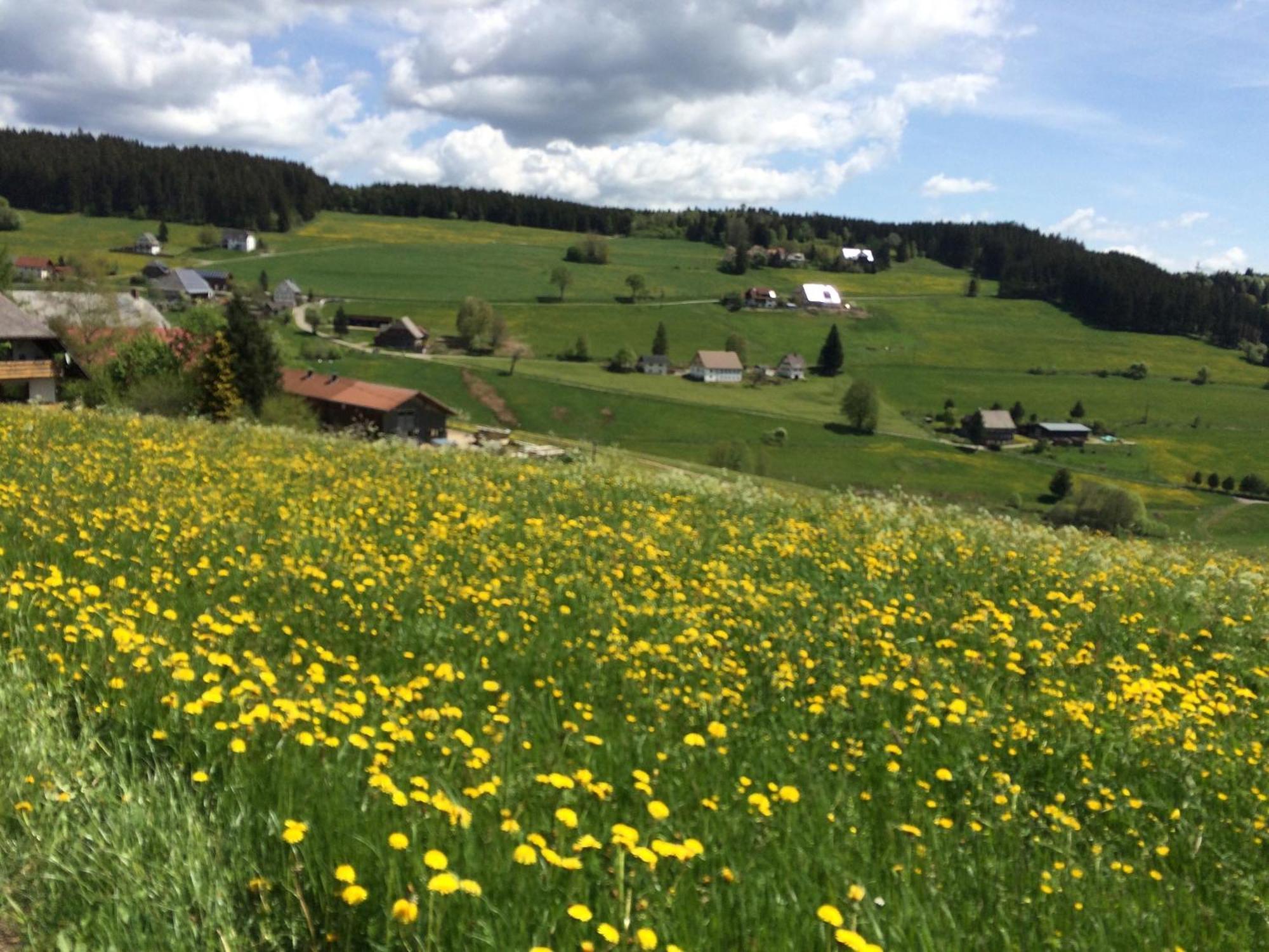 Ferienhaus Robin Titisee-Neustadt Exteriör bild